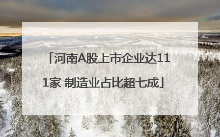 河南A股上市企业达111家 制造业占比超七成