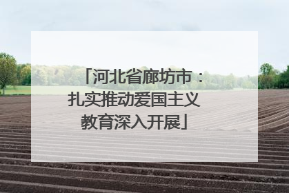 河北省廊坊市：扎实推动爱国主义教育深入开展
