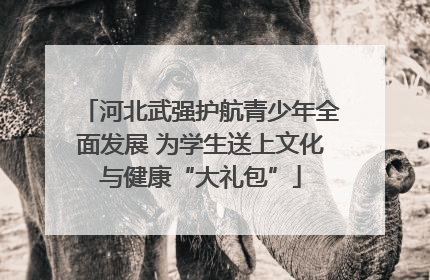 河北武强护航青少年全面发展 为学生送上文化与健康“大礼包”