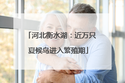 河北衡水湖：近万只夏候鸟进入繁殖期