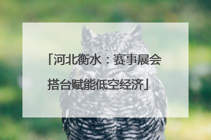 河北衡水：赛事展会搭台赋能低空经济