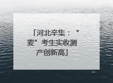 河北辛集：“麦”考生实收测产创新高