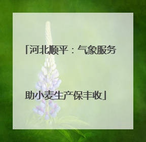 河北顺平：气象服务助小麦生产保丰收
