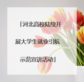 河北高校陆续开展大学生就业引航示范宣讲活动