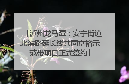 泸州龙马潭：安宁街道北滨路延长线共同富裕示范带项目正式签约