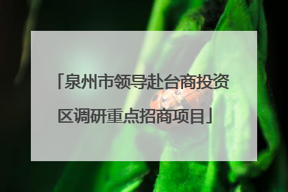 泉州市领导赴台商投资区调研重点招商项目