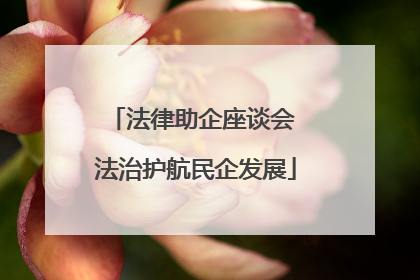 法律助企座谈会 法治护航民企发展