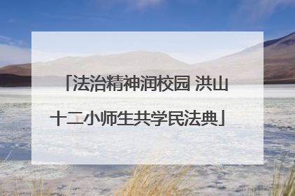法治精神润校园 洪山十二小师生共学民法典