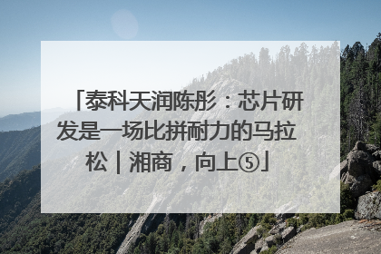 泰科天润陈彤：芯片研发是一场比拼耐力的马拉松｜湘商，向上⑤