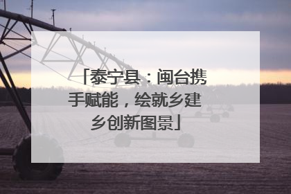 泰宁县：闽台携手赋能，绘就乡建乡创新图景
