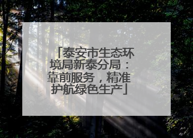 泰安市生态环境局新泰分局：靠前服务，精准护航绿色生产