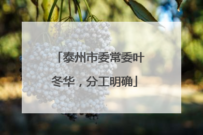 泰州市委常委叶冬华，分工明确