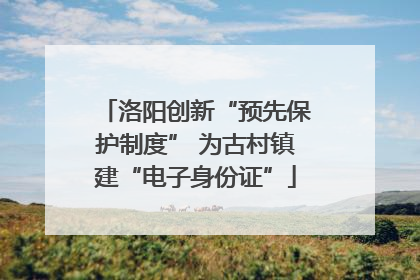 洛阳创新“预先保护制度” 为古村镇建“电子身份证”