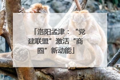洛阳孟津：“党建联盟”激活“商圈”新动能