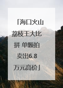 海口火山荔枝王大比拼 单颗拍卖出6.8万元高价