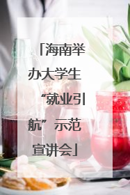 海南举办大学生“就业引航”示范宣讲会