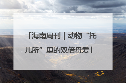 海南周刊｜动物“托儿所”里的双倍母爱