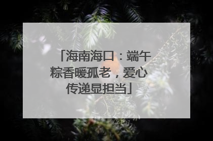 海南海口：端午粽香暖孤老，爱心传递显担当