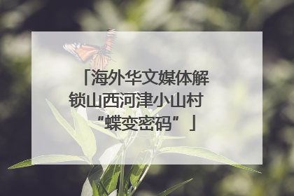 海外华文媒体解锁山西河津小山村“蝶变密码”