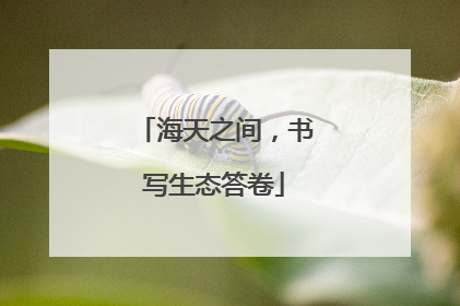 海天之间，书写生态答卷