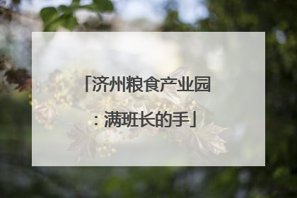 济州粮食产业园：满班长的手