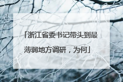 浙江省委书记带头到最薄弱地方调研，为何