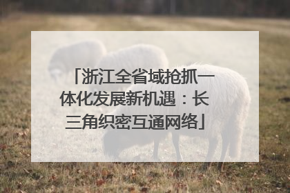 浙江全省域抢抓一体化发展新机遇：长三角织密互通网络