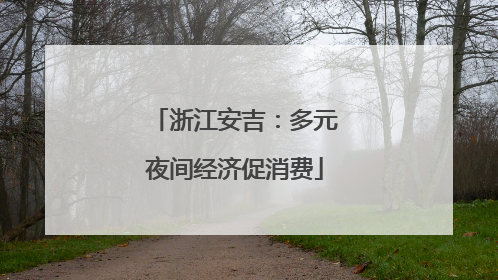 浙江安吉：多元夜间经济促消费