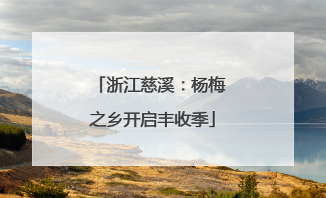 浙江慈溪：杨梅之乡开启丰收季