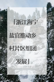 浙江海宁盐官推动乡村片区组团发展
