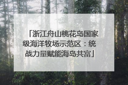 浙江舟山桃花岛国家级海洋牧场示范区：统战力量赋能海岛共富