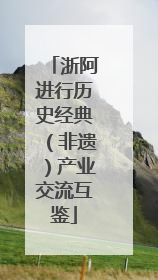 浙阿进行历史经典（非遗）产业交流互鉴