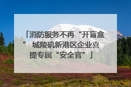 消防服务不再“开盲盒” 城陵矶新港区企业喜提专属“安全官”