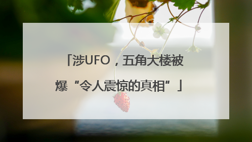 涉UFO，五角大楼被爆“令人震惊的真相”