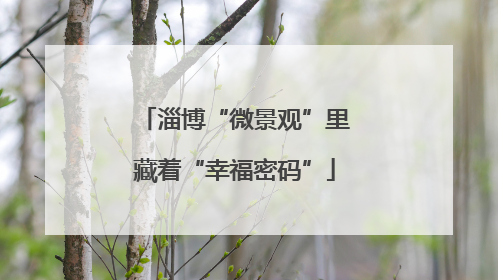 淄博“微景观”里藏着“幸福密码”