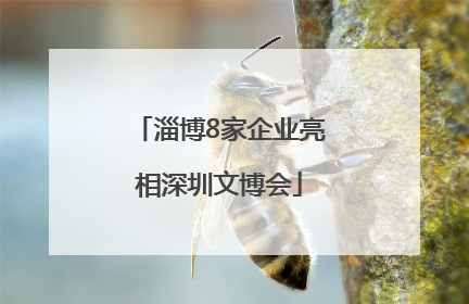淄博8家企业亮相深圳文博会