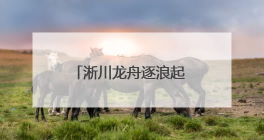 淅川龙舟逐浪起 楚风汉韵贯古今