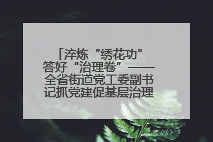 淬炼“绣花功” 答好“治理卷”——全省街道党工委副书记抓党建促基层治理培训示范班侧记