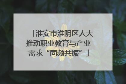 淮安市淮阴区人大推动职业教育与产业需求“同频共振”