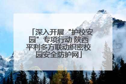 深入开展“护校安园”专项行动 陕西平利多方联动织密校园安全防护网
