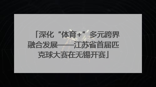 深化“体育+”多元跨界融合发展——江苏省首届匹克球大赛在无锡开赛