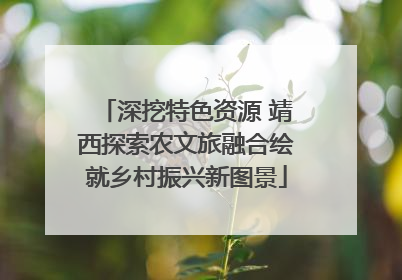 深挖特色资源 靖西探索农文旅融合绘就乡村振兴新图景