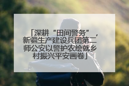 深耕“田间警务”，新疆生产建设兵团第二师公安以警护农绘就乡村振兴平安画卷