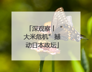深观察丨“大米危机”撼动日本政坛