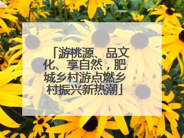 游桃源、品文化、享自然，肥城乡村游点燃乡村振兴新热潮