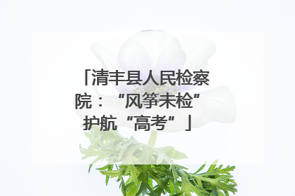 清丰县人民检察院：“风筝未检”护航“高考”
