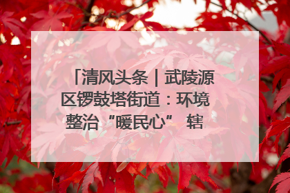 清风头条｜武陵源区锣鼓塔街道：环境整治“暖民心” 辖区面貌“靓”起来