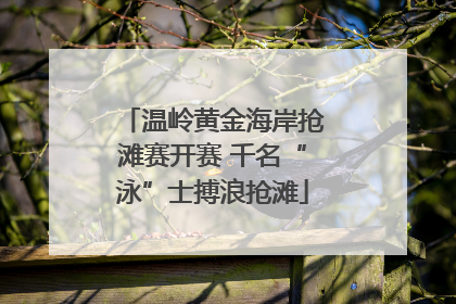 温岭黄金海岸抢滩赛开赛 千名“泳”士搏浪抢滩