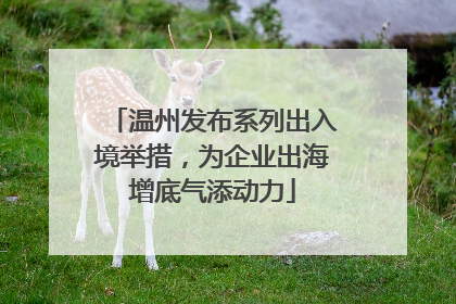 温州发布系列出入境举措，为企业出海增底气添动力