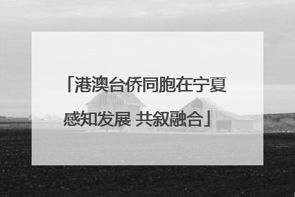 港澳台侨同胞在宁夏感知发展 共叙融合